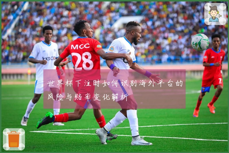 世界杯下注时如何识别海外平台的风险与赔率变化解析