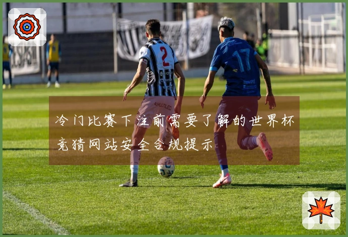 冷门比赛下注前需要了解的世界杯竞猜网站安全合规提示
